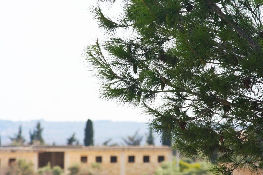 B&B Via Gallipoli อเลซิโอ ภายนอก รูปภาพ